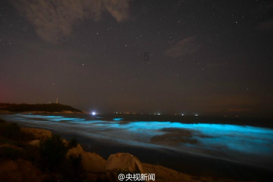 芭比大学毕业